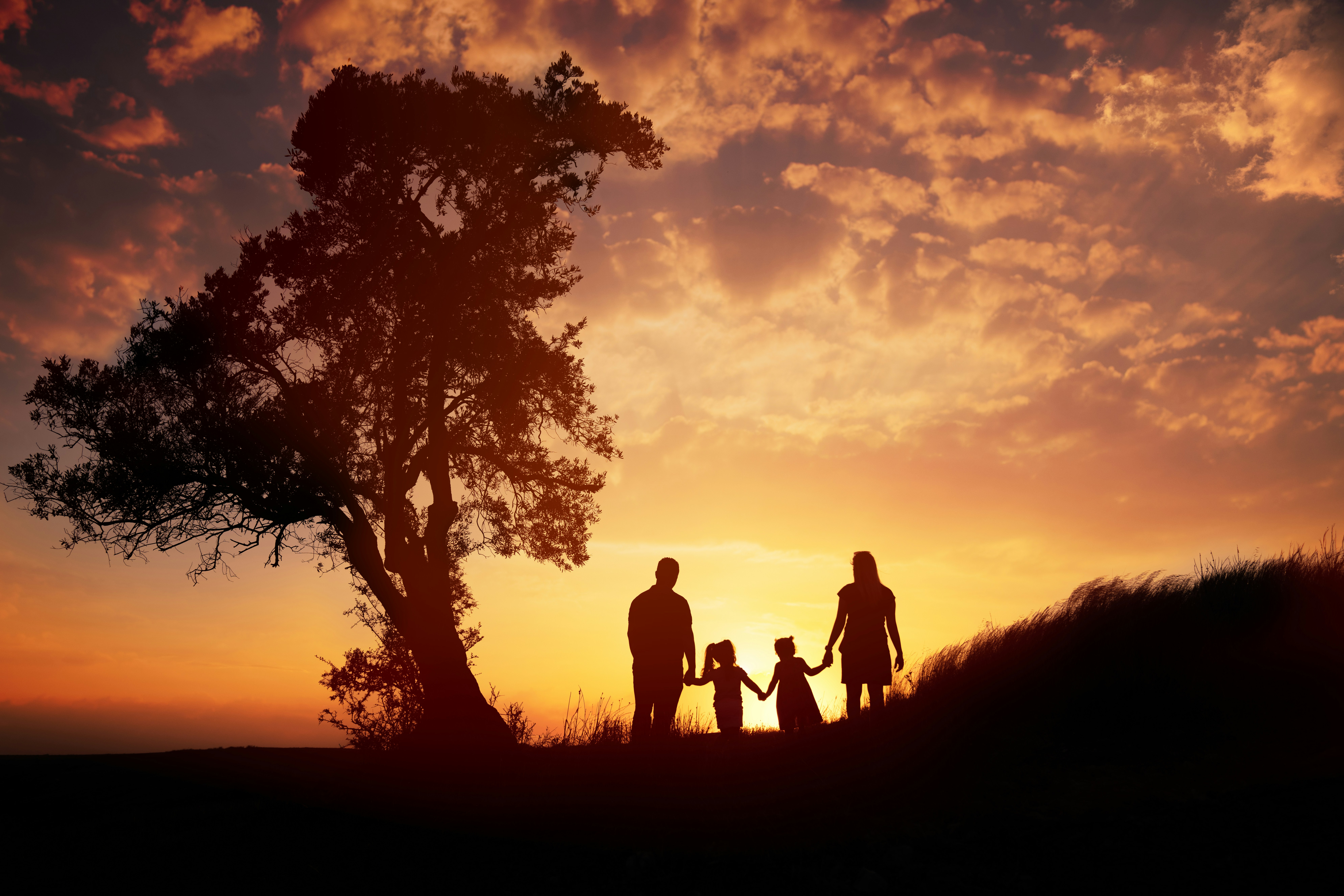 Estate Planning